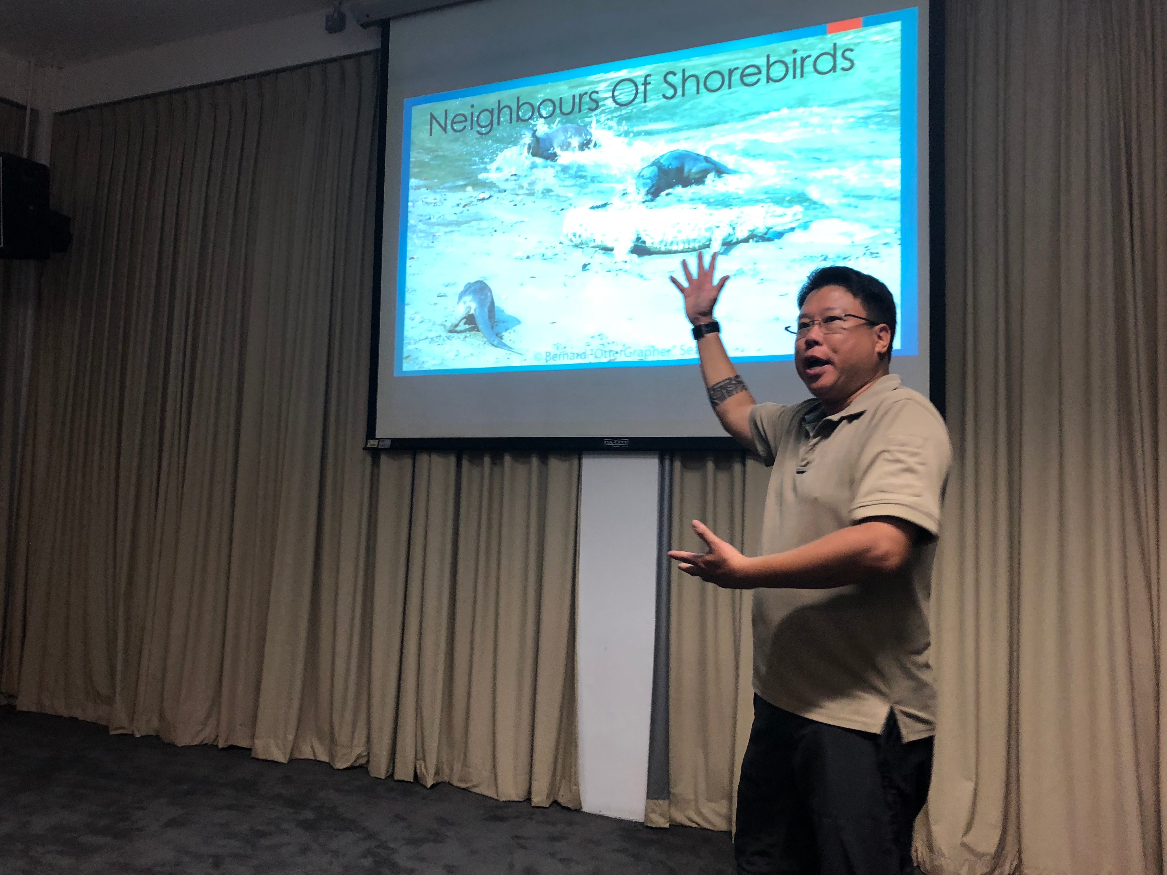 A person giving a presentation titled "Neighbours Of Shorebirds" with a projected image of seals or sea lions on a beach.